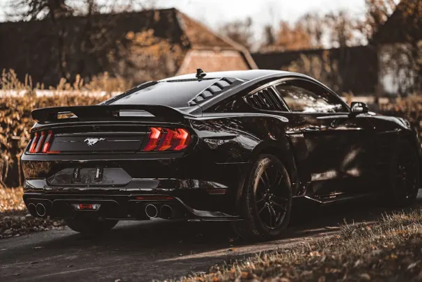 Bizz Casino Android/iOS Forrit